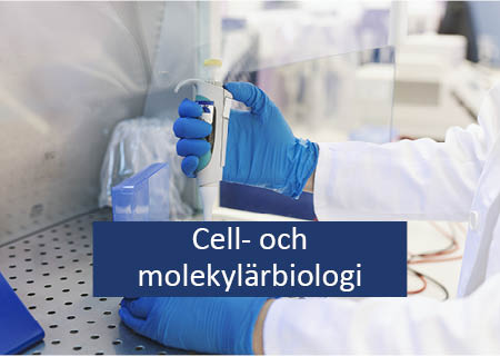 Cell- och molekylärbiologi