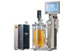 Infors Labfors 5 bioreactor with LabCIP