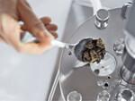 Infors Labfors 5 SSF bioreactor port
